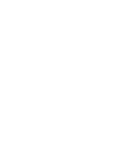 Trinnov
